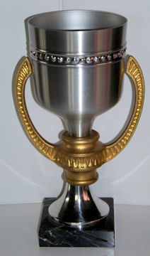 POKAL gold-silber